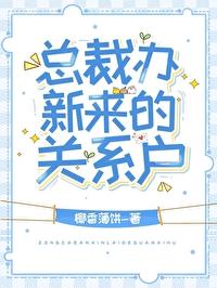 总裁办新来的关系户无防盗