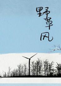 野草风全文免费阅读