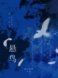 悬鸟by娜可露露全文免费阅读