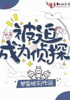 被迫成为侦探挂件的日子反派二姐