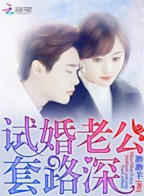 试婚老公要给力简介