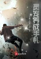 灵宠养成的