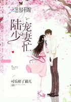 宠妻无敌