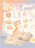 猫猫决定
