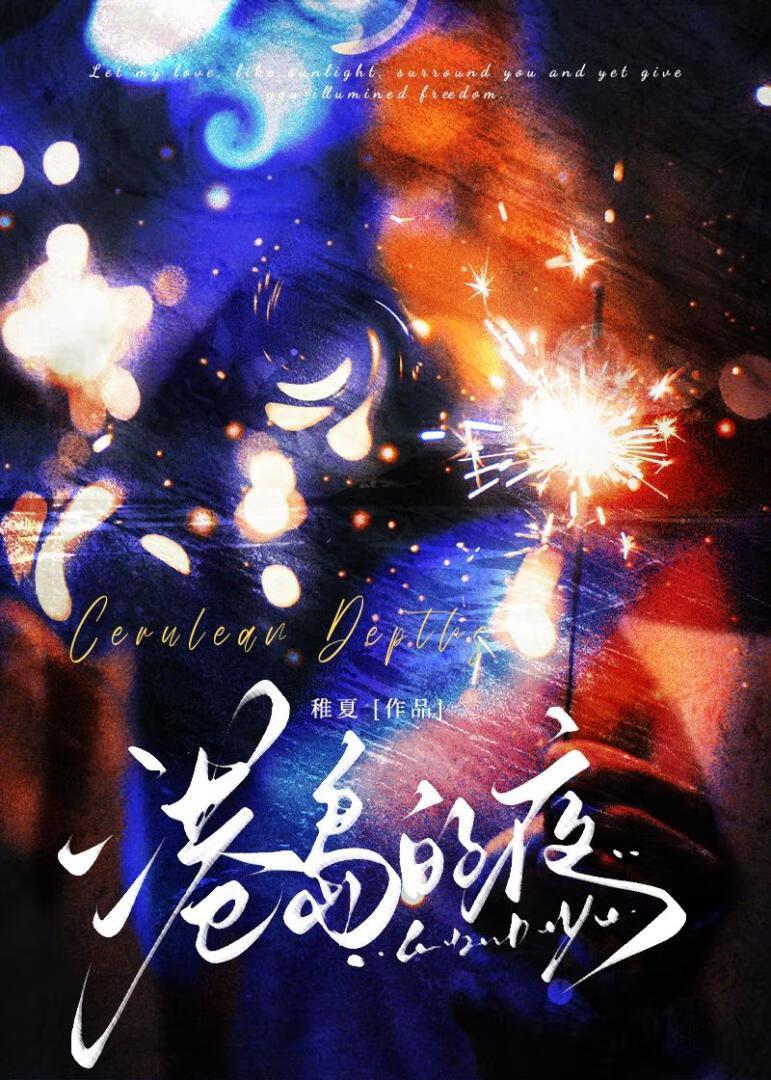 港岛的夜作者稚夏