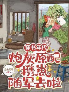 穿书年代炮灰原配携崽随军去啦肖政安婳