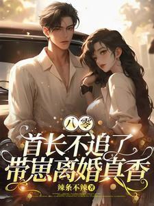 带崽离婚真香苏晚清