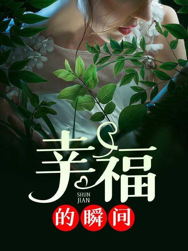 幸福的瞬间吉他谱c调