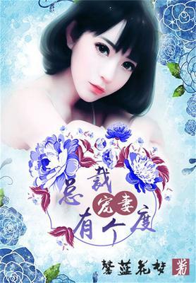 总裁宠妻有个度免费阅读