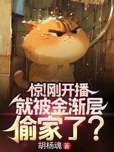金渐层的小猫