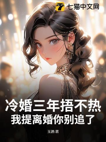 三年后冷少的漫漫追妻路