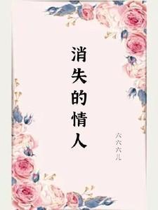 消失的爱人解析
