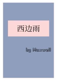 西边雨(现言1v1)类型解析