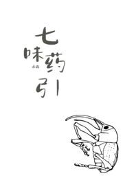 七味是啥?