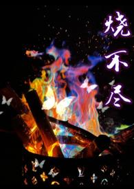烧不尽第几章分手