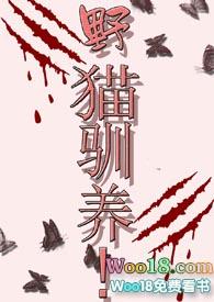 野猫驯养!(高H!1V1)
