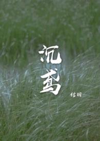 沉鸢类似