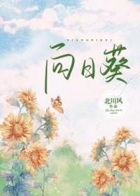 向日葵触及涨停