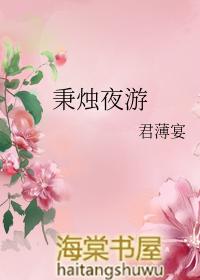 秉烛夜游的秉是什么意思