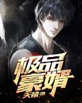 极品豪婿归来短剧免费完整版