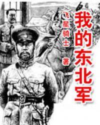我的东北军之龙战于野