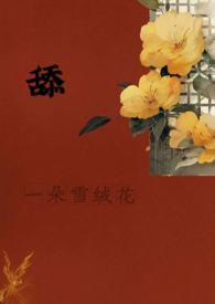 失落的一角英文绘本