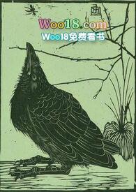 空壳怎么读