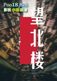 望北楼讲的什么