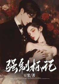 强制标记(男A女O) 作者豆浆著