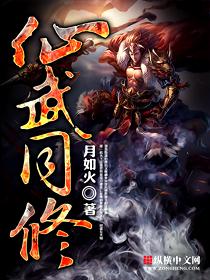 仙武同修顶点