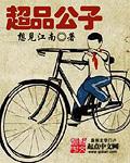 超品公子简介