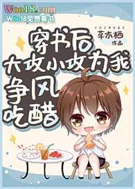 穿书攻了原书主角攻