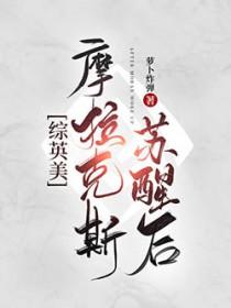 摩拉克斯设定