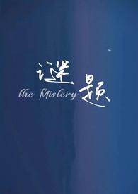 谜题大陆