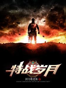 特种岁月作者