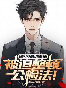 法律援助我为群众办实事
