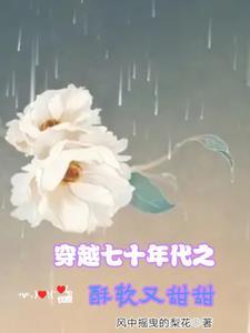 穿越七零年代大全