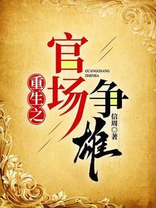 重生之官场纵横笔趣阁