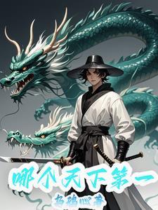 风武少年动漫