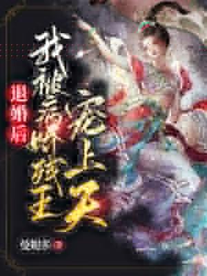 退婚后我被病娇残王宠上天阮锦宁裴云之