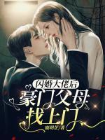 闪婚大佬以后