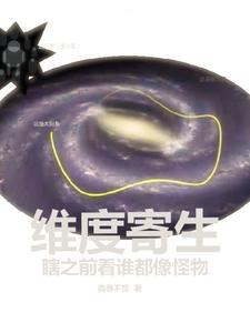 维度
