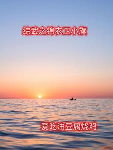 综武锦衣卫的