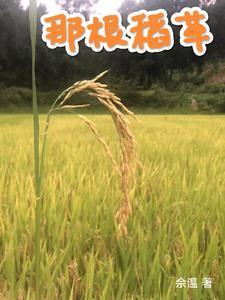 稻草根叫什么