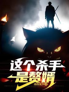 这个杀手是赘婿大结局