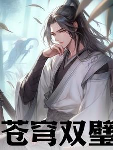 苍穹什么