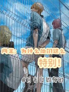 网王 冰帝夺冠