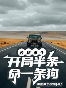 公路求生txt