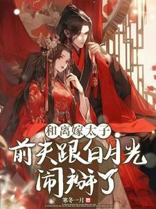 和离前夫君