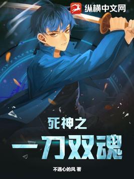 死神双刀一护卍解